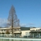 中学校